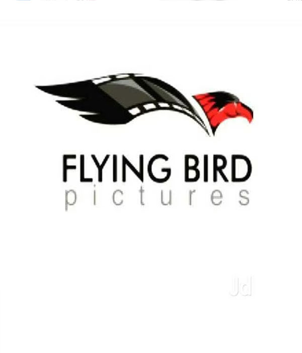 Flying Bird Pictures