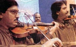  Violin Brothers