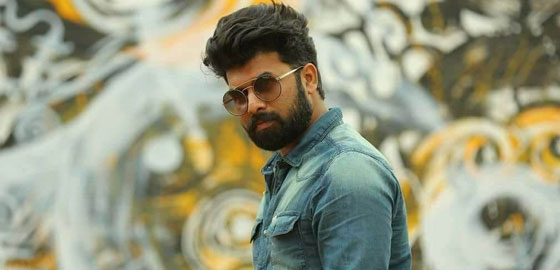 Sunny Wayne