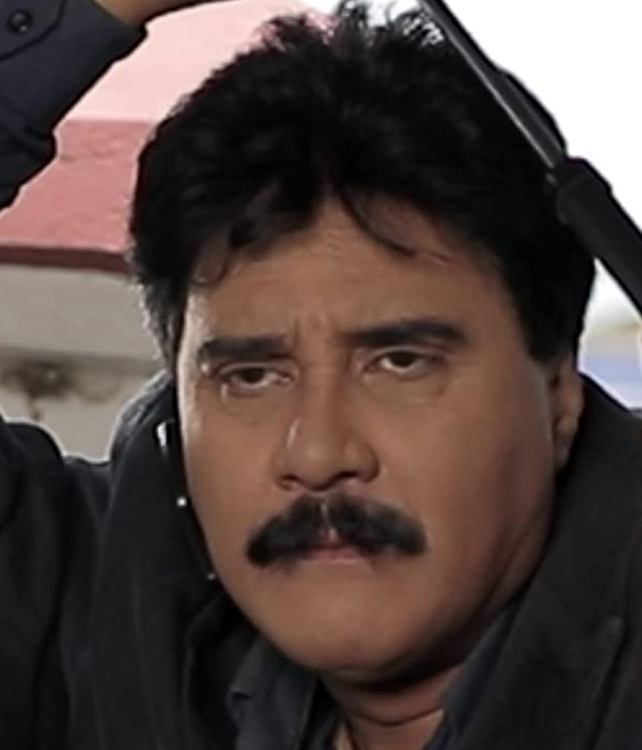 Brojen Bora