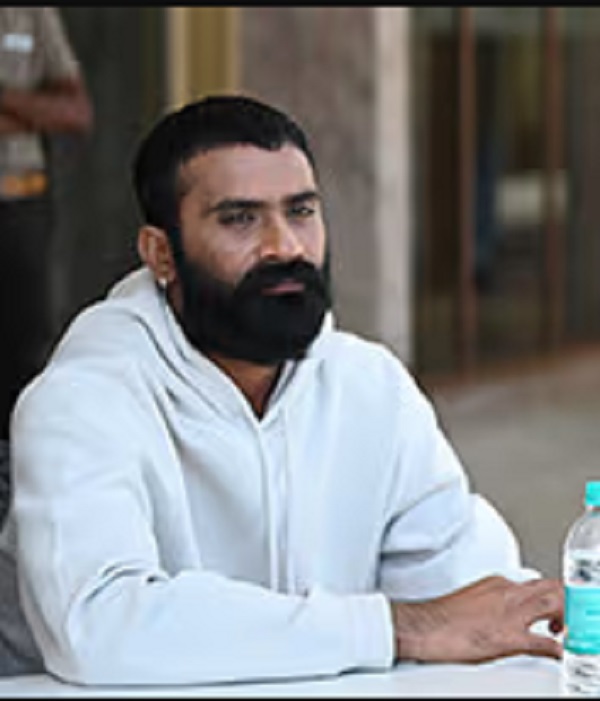 Loosemada Yogi