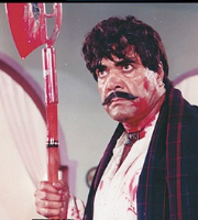 Sultan Rahi