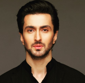 Vibhav Roy