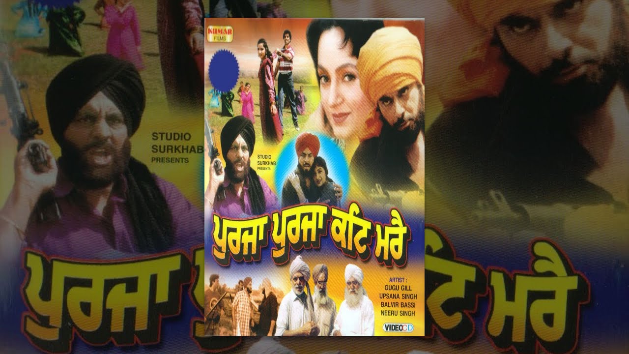 Purja Purja Katt Mare