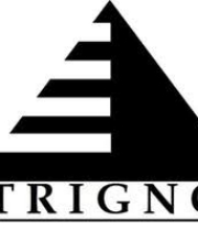 Trigno Media