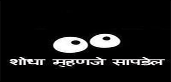 Shodha Mhanje Sapdel