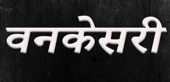 Vanakesari