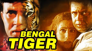 Bengal Tiger
