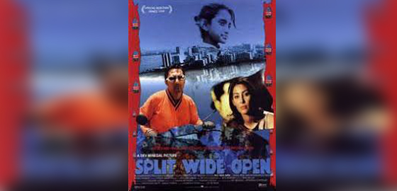Split Wide Open