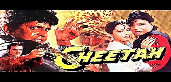 Cheetah