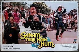 Sanam Tere Hain Hum