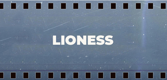 Lioness