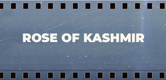 Rose Of Kashmir