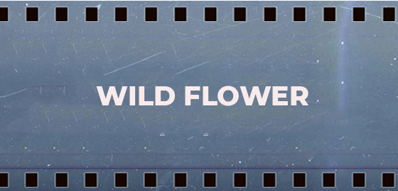Wild Flower