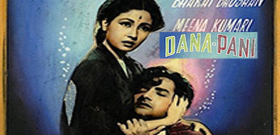 Dana Paani