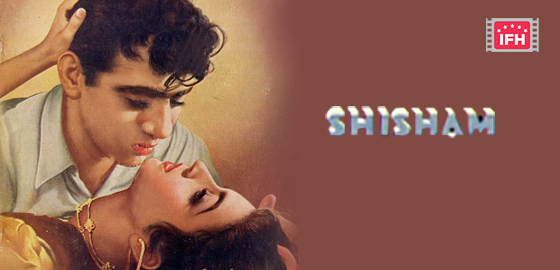 Shisham