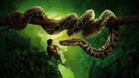 Anaconda Test Part 4