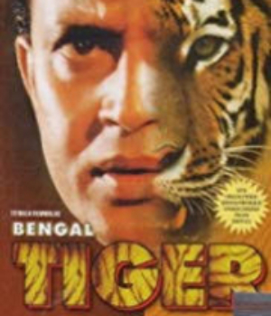 Bengal Tiger
