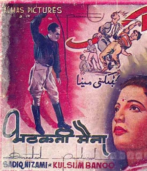 Bhatakti Maina