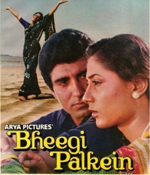 Bheegi Palkein