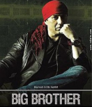 Big Brother