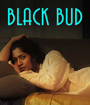 Black Bud
