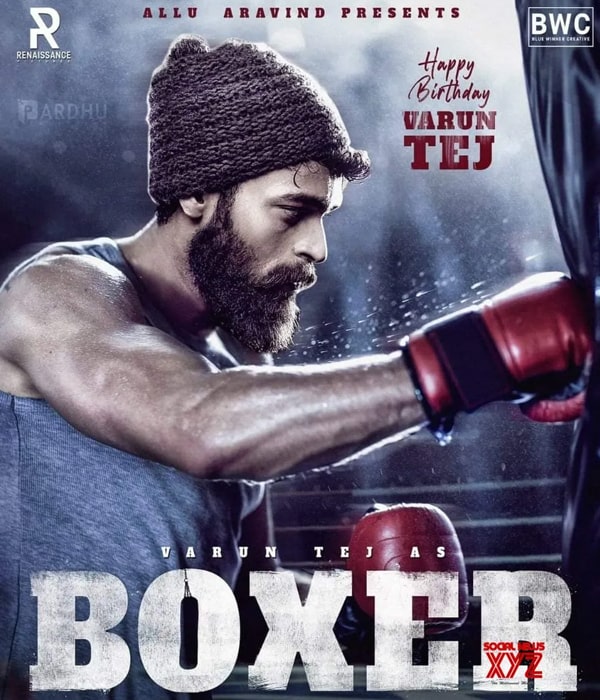 Boxer