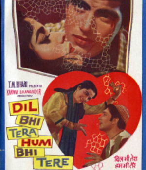 Dil Bhi Tera Hum Bhi Tere