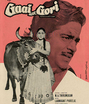 Gaai Aur Gori