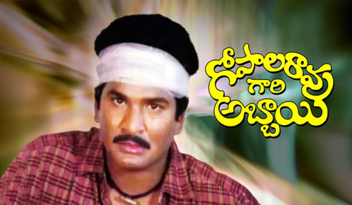 Gopala Rao Gaari Abbai
