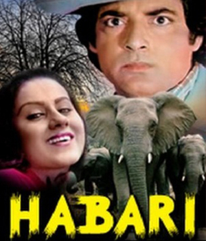 Habari