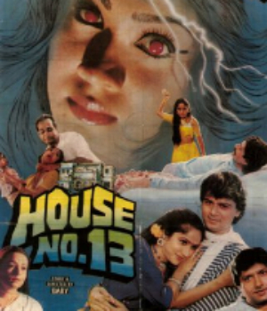 House No 13