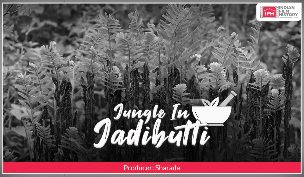 Jungle In Jadibutti