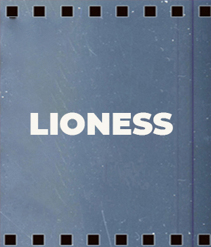 Lioness
