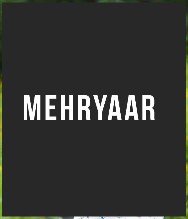 Mehryaar