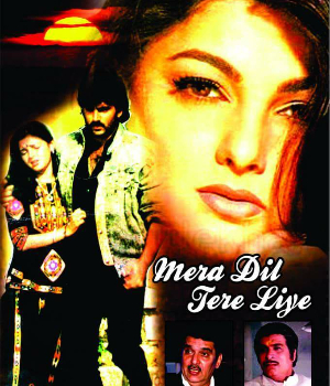 Mera Dil Tere Liye