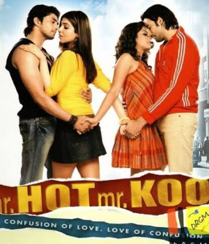 Mr Hot Mr Kool
