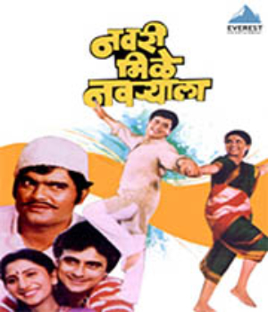 Navri Mile Navryala