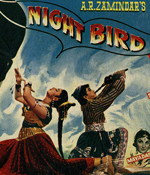 Night Bird