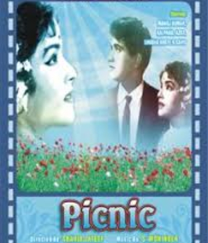 Picnic
