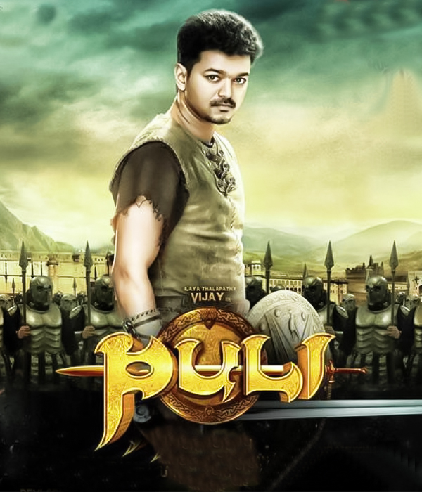 Puli