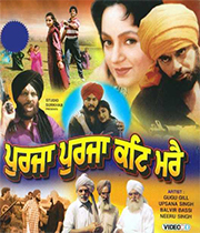 Purja Purja Katt Mare