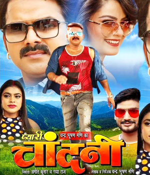 Pyari Chandni