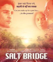 Salt Bridge