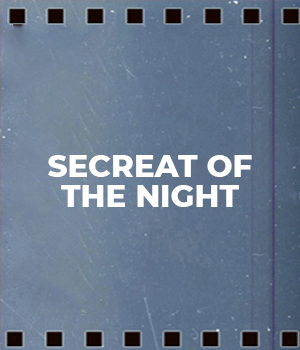 Secreat Of The Night
