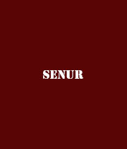 Senur