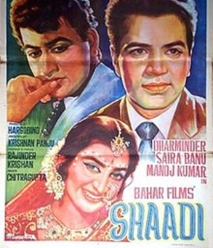 Shadi