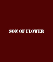 Son Of Flower