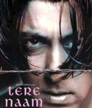 Tere Naam
