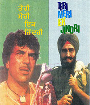 Teri Meri Ik Jindri
